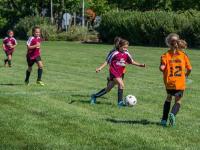 洋山自贸区同华冷链项目